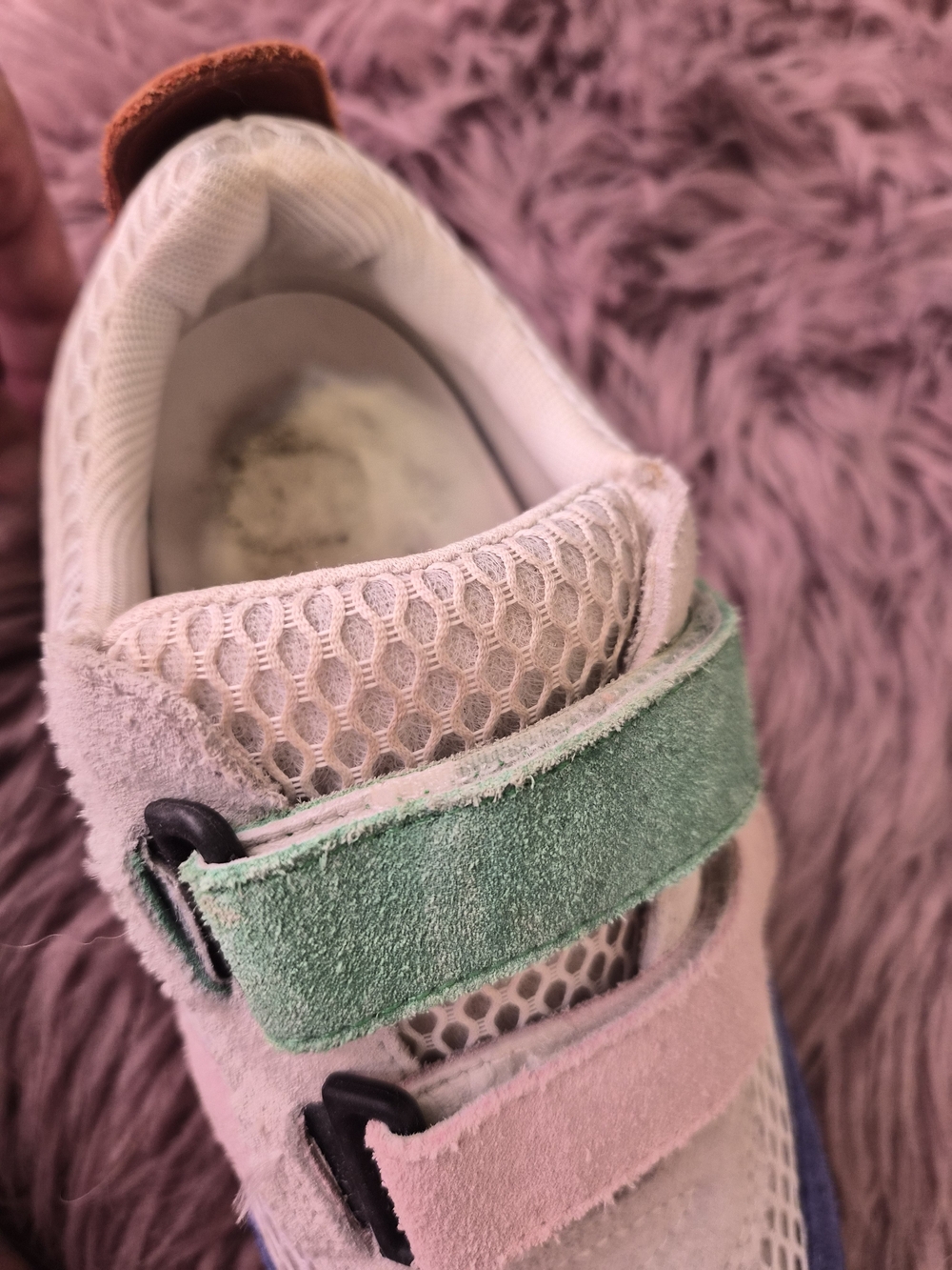 Charlotte Stone Conway Sneaker - Picture 5 of 5